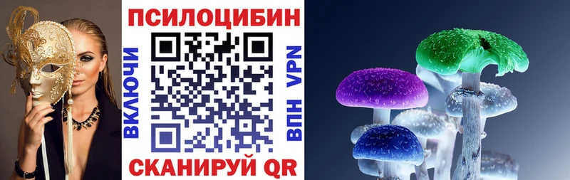 mega онион  Нягань  Галлюциногенные грибы Psilocybe  купить наркотики цена 